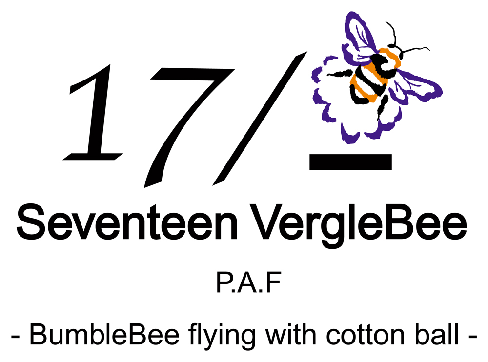 17-VergleBeeブランド紹介 | オリジナルTシャツプリントなら【SEABOW】