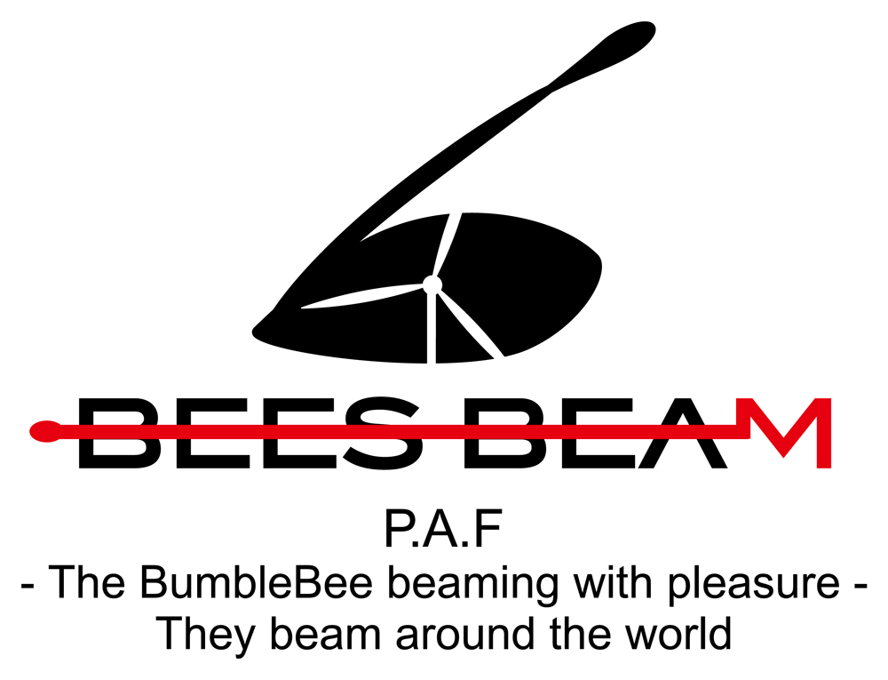 BEES BEAMブランド紹介 | オリジナルTシャツプリントなら【SEABOW】